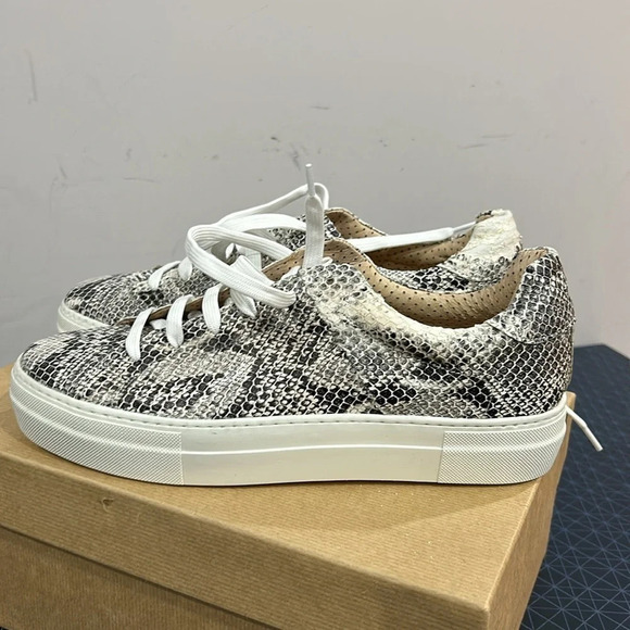 Sister  x Soeur Leyla Snake Platform Sneaker New in Box - Picture 11 of 11